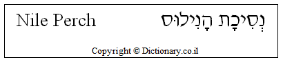 'Nile Perch' in Hebrew