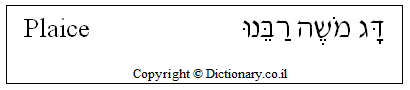 'Plaice' in Hebrew