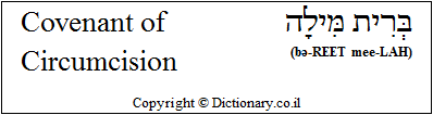 'Covenant of Circumcision' in Hebrew