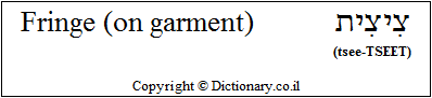 'Fringed Garment' in Hebrew