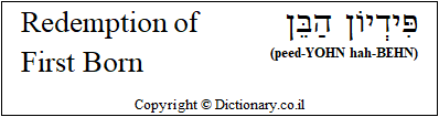 'Redemption of the Firstborn' in Hebrew