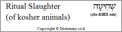 'Ritual Slaughter (of Kosher Animals)' in Hebrew