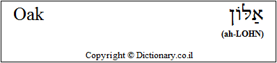 'Oak' in Hebrew