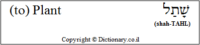 '(to) Plant' in Hebrew