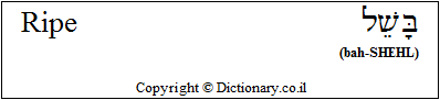 'Ripe' in Hebrew