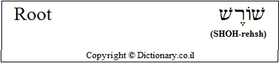 'Root' in Hebrew