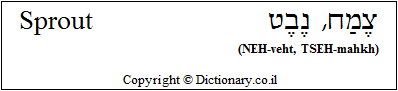 'Sprout' in Hebrew