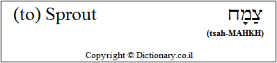 '(to) Sprout' in Hebrew