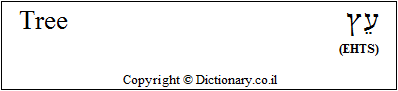 'Tree' in Hebrew