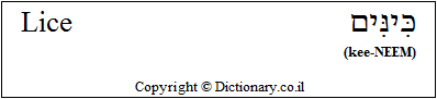 'Lice' in Hebrew