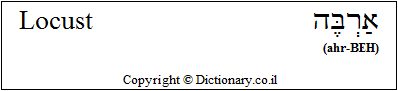 'Locust' in Hebrew