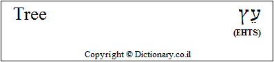 'Tree' in Hebrew