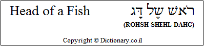 'Head of a Fish' in Hebrew