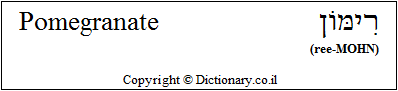 'Pomegranate' in Hebrew