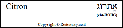 'Citron' in Hebrew