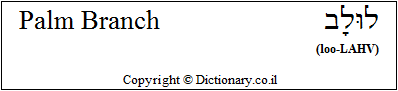 'Palm Branch' in Hebrew