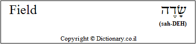 'Field' in Hebrew