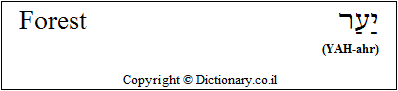 'Forest' in Hebrew