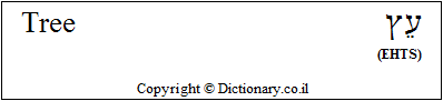 'Tree' in Hebrew