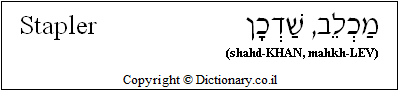 'Stapler' in Hebrew