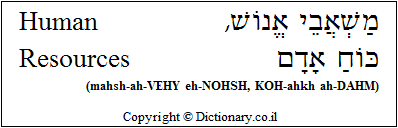 'Human Resources' in Hebrew