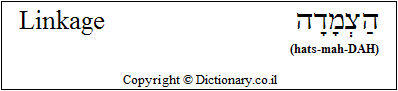 'Linkage' in Hebrew