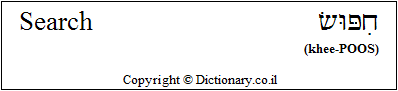 'Search' in Hebrew