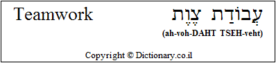 'Teamwork' in Hebrew