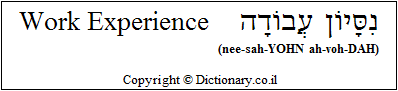 'Work Experience' in Hebrew