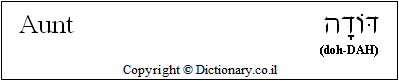 'Aunt' in Hebrew