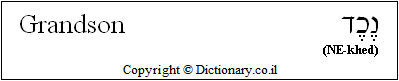 'Grandson' in Hebrew