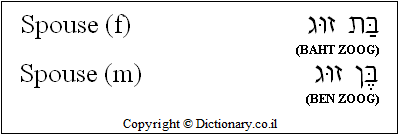 'Spouse' in Hebrew