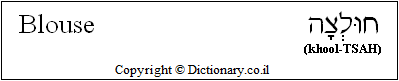'Blouse' in Hebrew