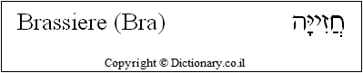'Brassiere (Bra)' in Hebrew