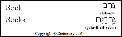 'Socks' in Hebrew