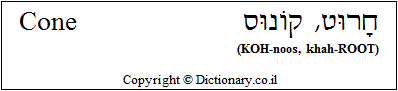 'Cone' in Hebrew