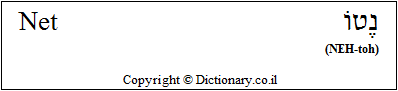 'Net' in Hebrew