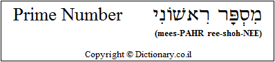 'Prime Number' in Hebrew
