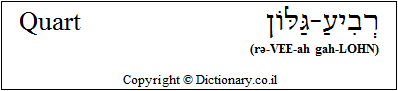 'Quart' in Hebrew