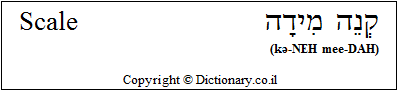 'Scale' in Hebrew