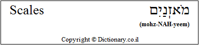 'Scales' in Hebrew
