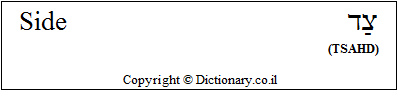 'Side' in Hebrew