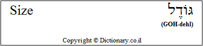 'Size' in Hebrew