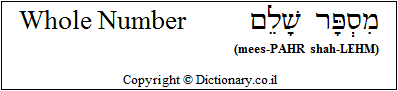 'Whole Number' in Hebrew