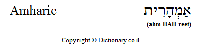 'Amharic' in Hebrew