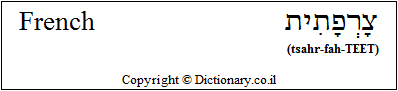 'French' in Hebrew