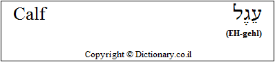 'Calf' in Hebrew