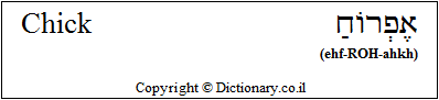 'Chick' in Hebrew