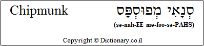 'Chipmunk' in Hebrew