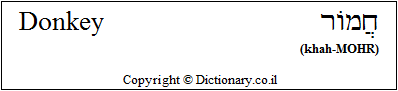 'Donkey' in Hebrew